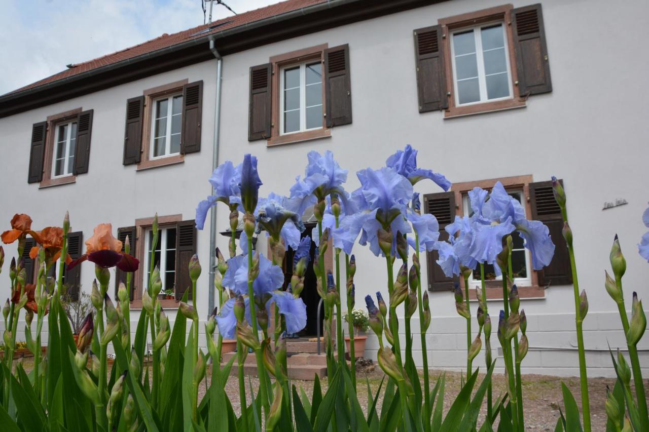 Ferme Les Iris Apartamento Issenheim Exterior foto