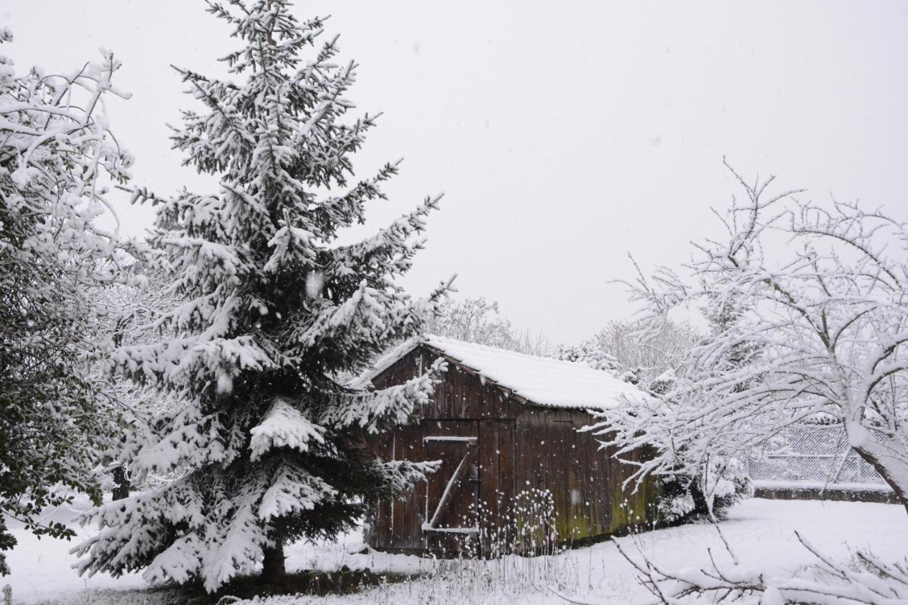 Ferme Les Iris Apartamento Issenheim Exterior foto